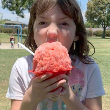 Festival Food Shaved Ice